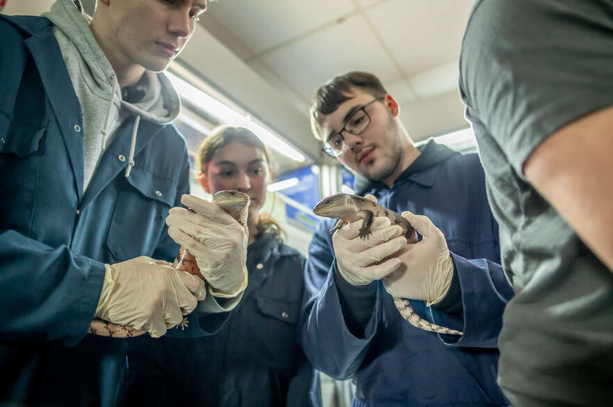 Students holding lizards during practical