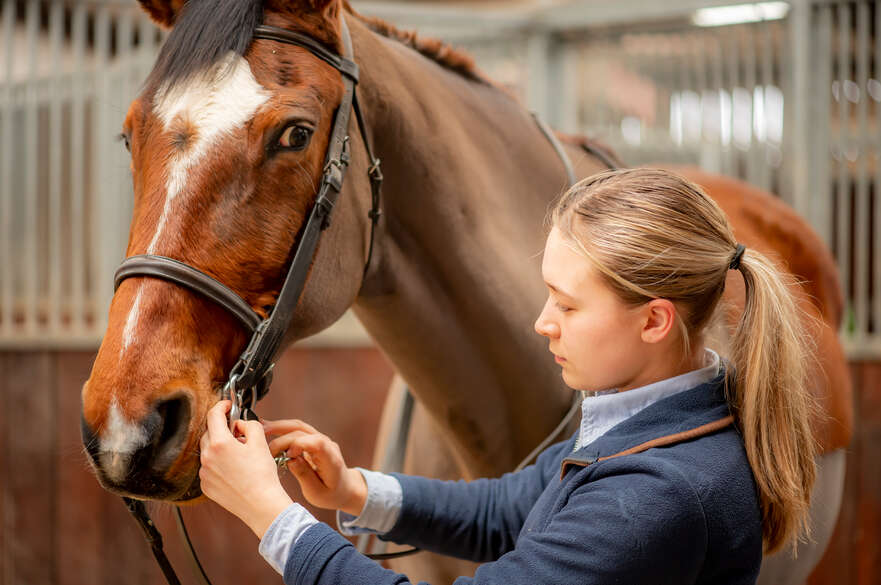 Student putting bridle on horse