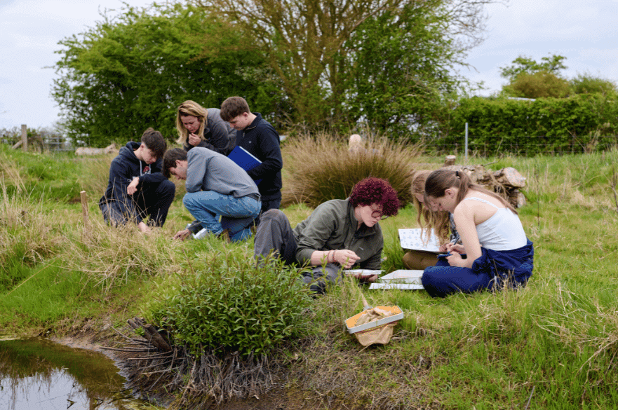 Students pond dipping