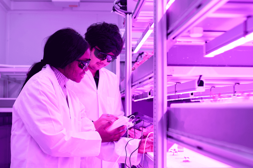 Students measuring hydroponic solution pH and EC using a pH and EC meter