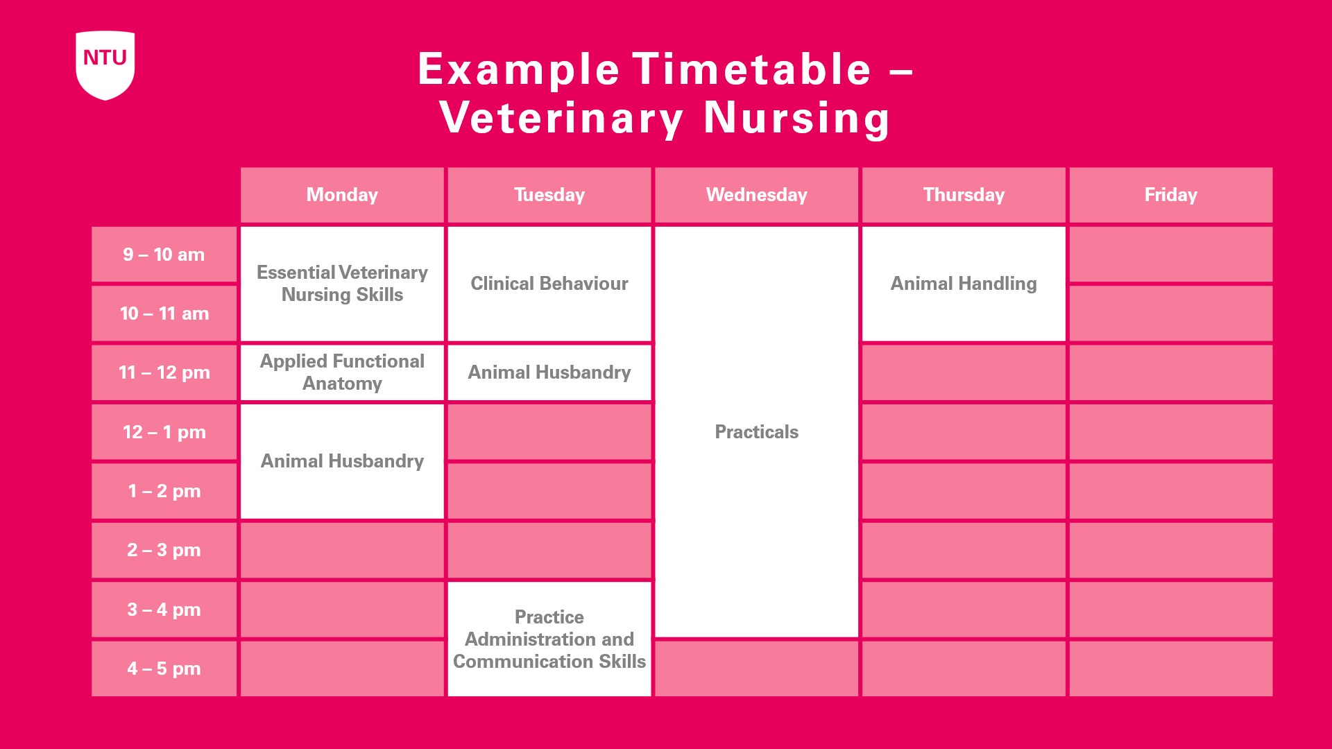 An example timetable for a first year Veterinary Nursing student