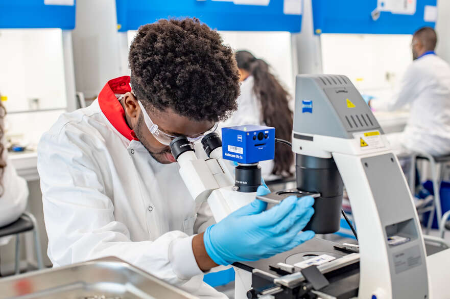 Microbiology student using a microscope