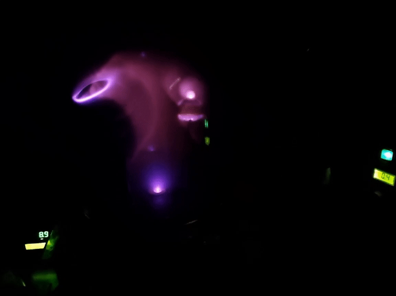 Image of planeterella