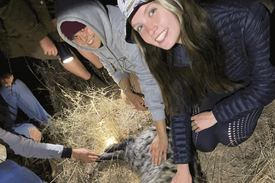Image of BSc (Hons) Zoo Biology student Alicia Barrett