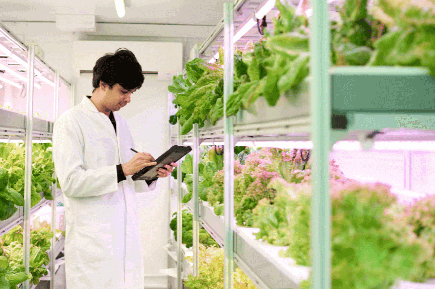 MRes Smart Agriculture student Jal Vashi
