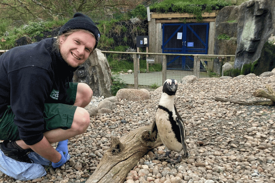 Image of alumnus Tom Lancashire with a penguin