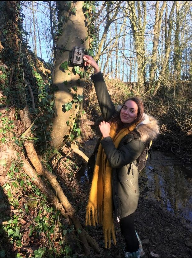 Student completing bird trapping