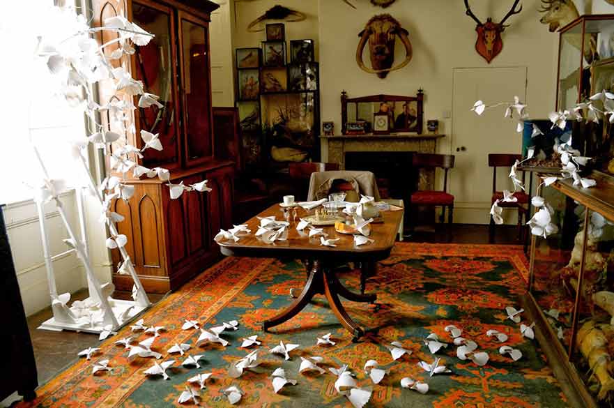 Room with paper birds on floor