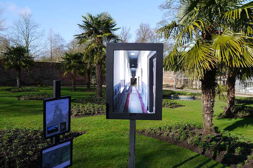 Picture in garden