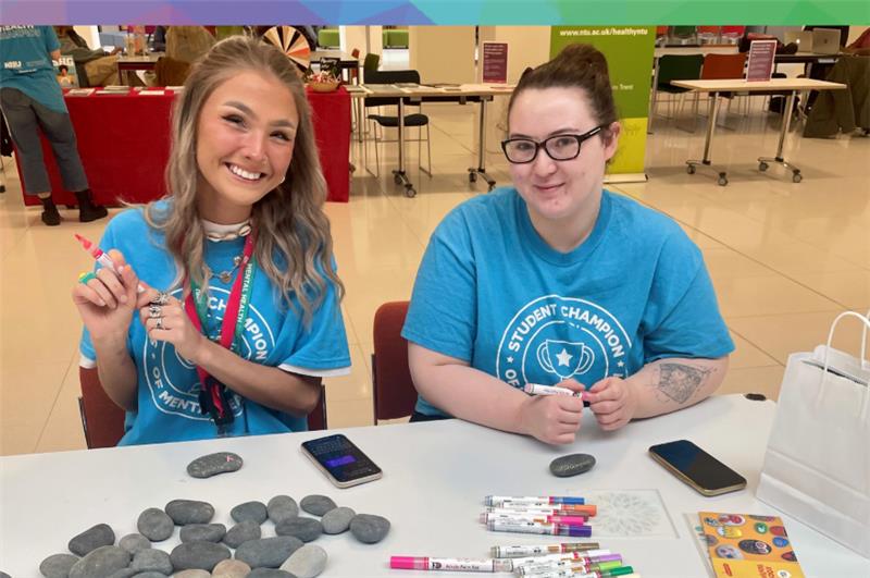Mental Health Champions